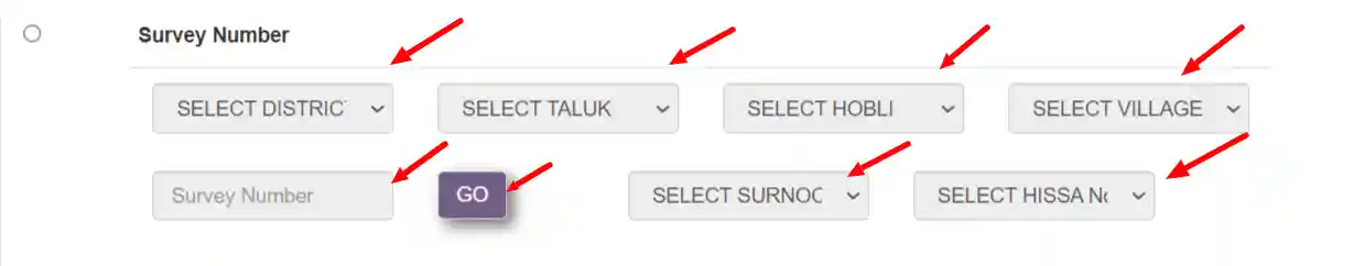 Fill Mojini Application Details