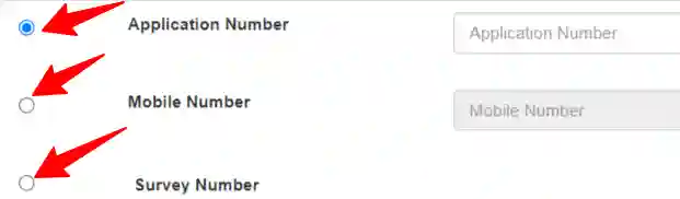 Search Mojini Application Status